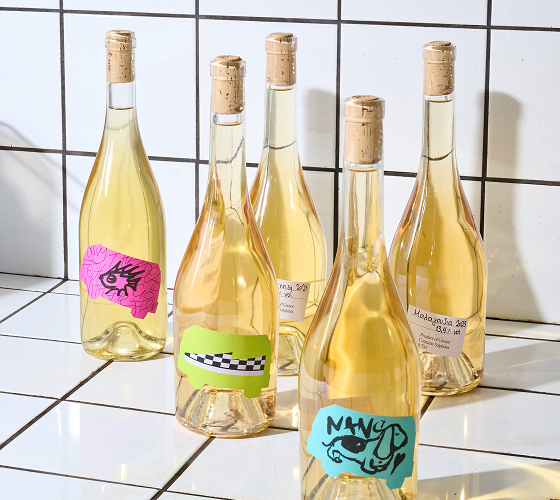 Explore our wine list